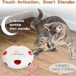 Interactive Cat Toy. INKZOO